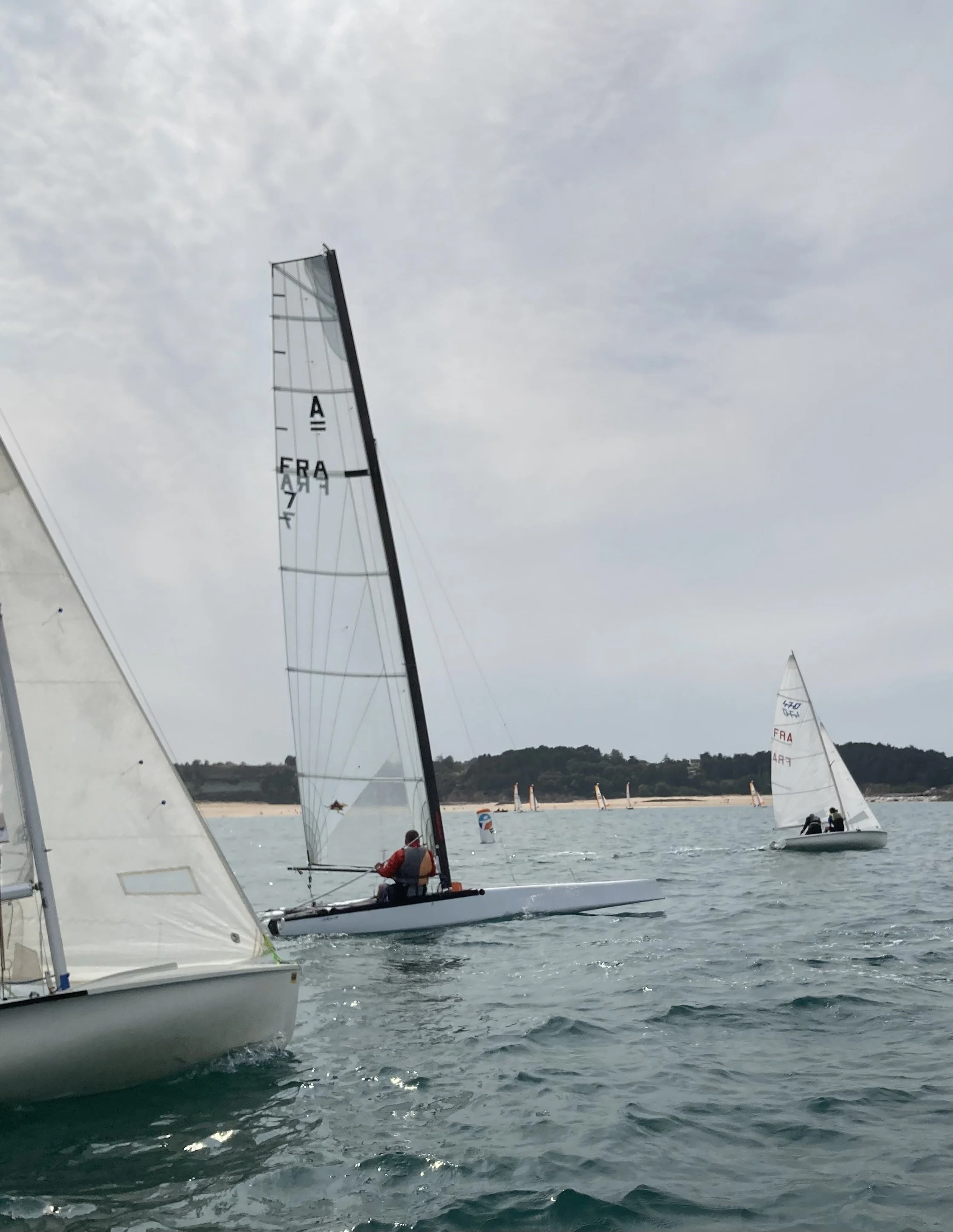 CVSOP 23