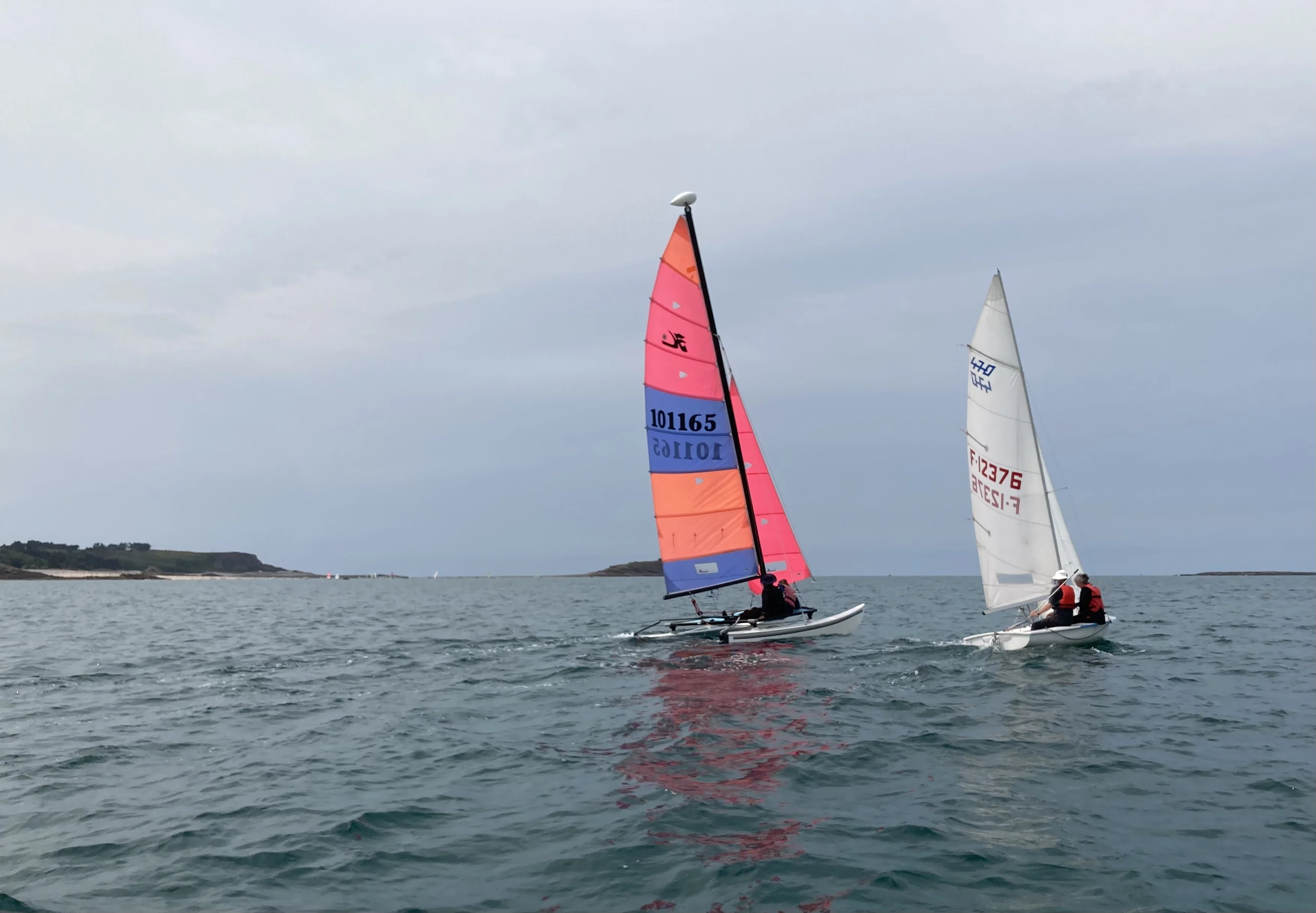 CVSOP 24