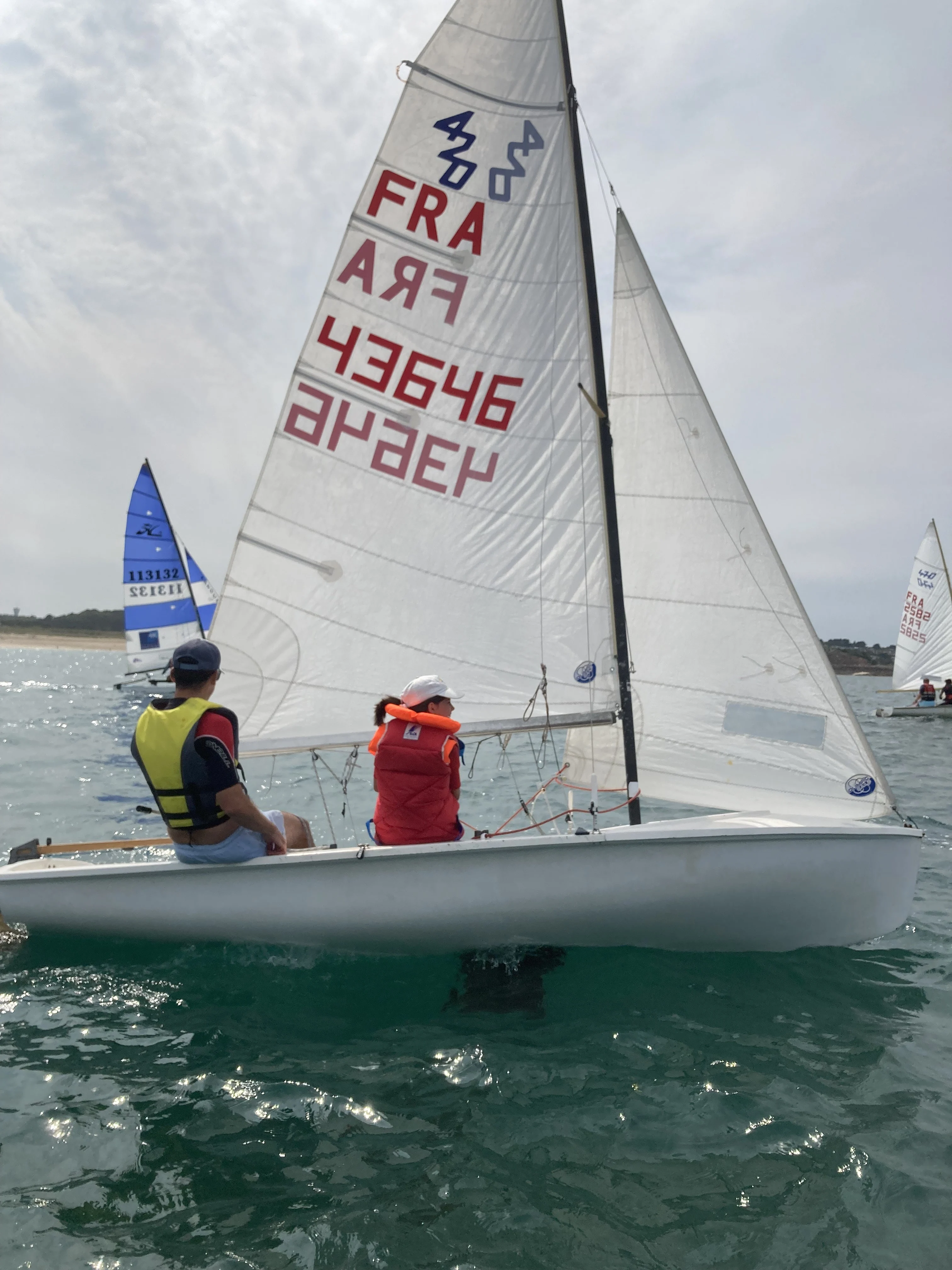 CVSOP 26