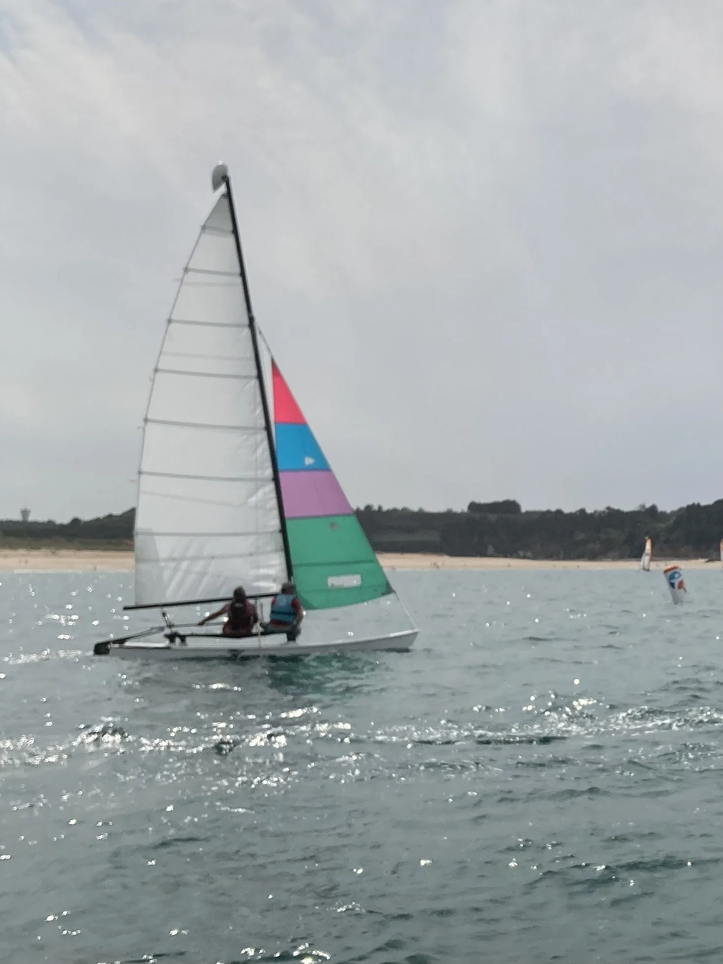 CVSOP 27