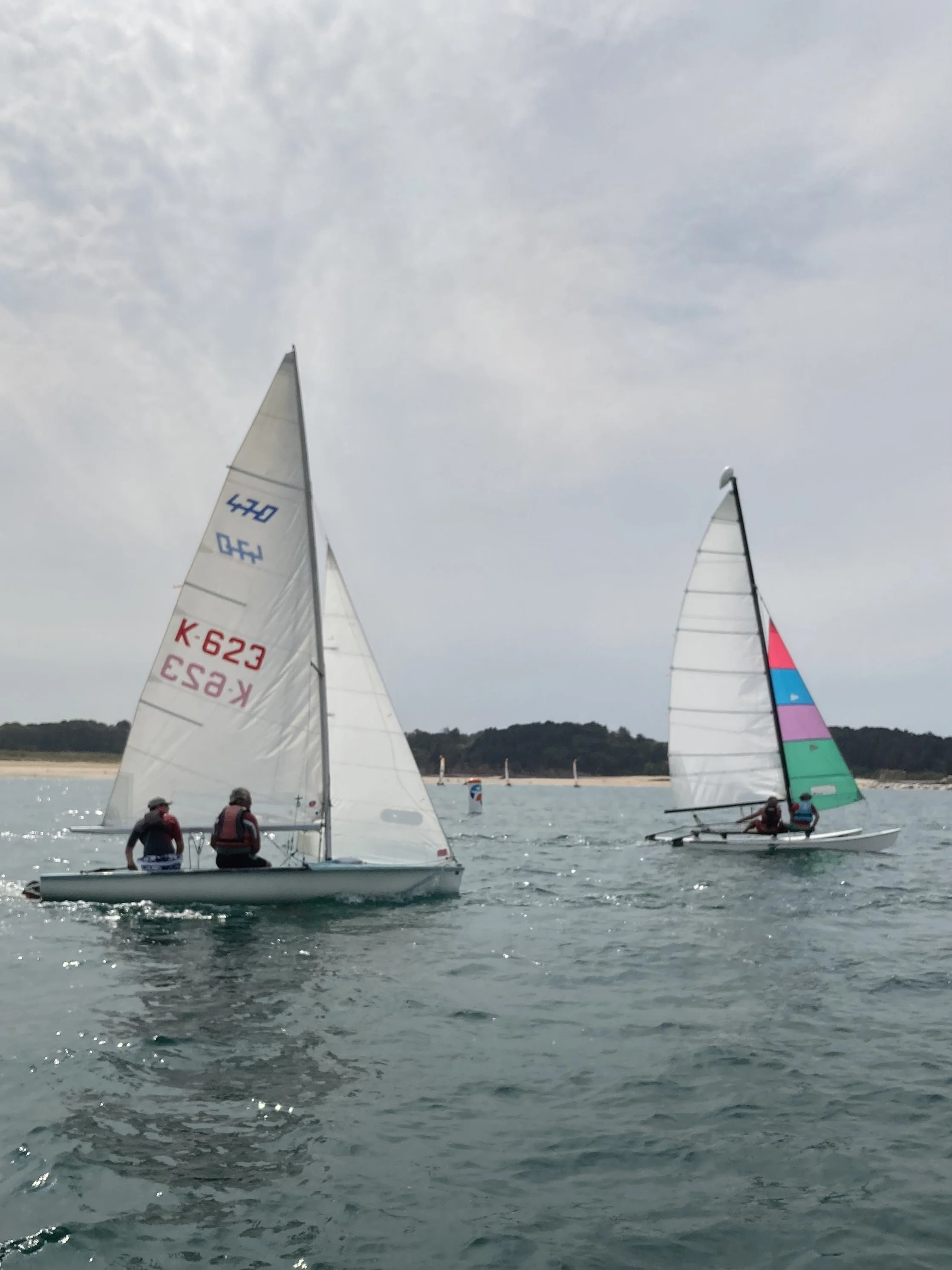 CVSOP 28