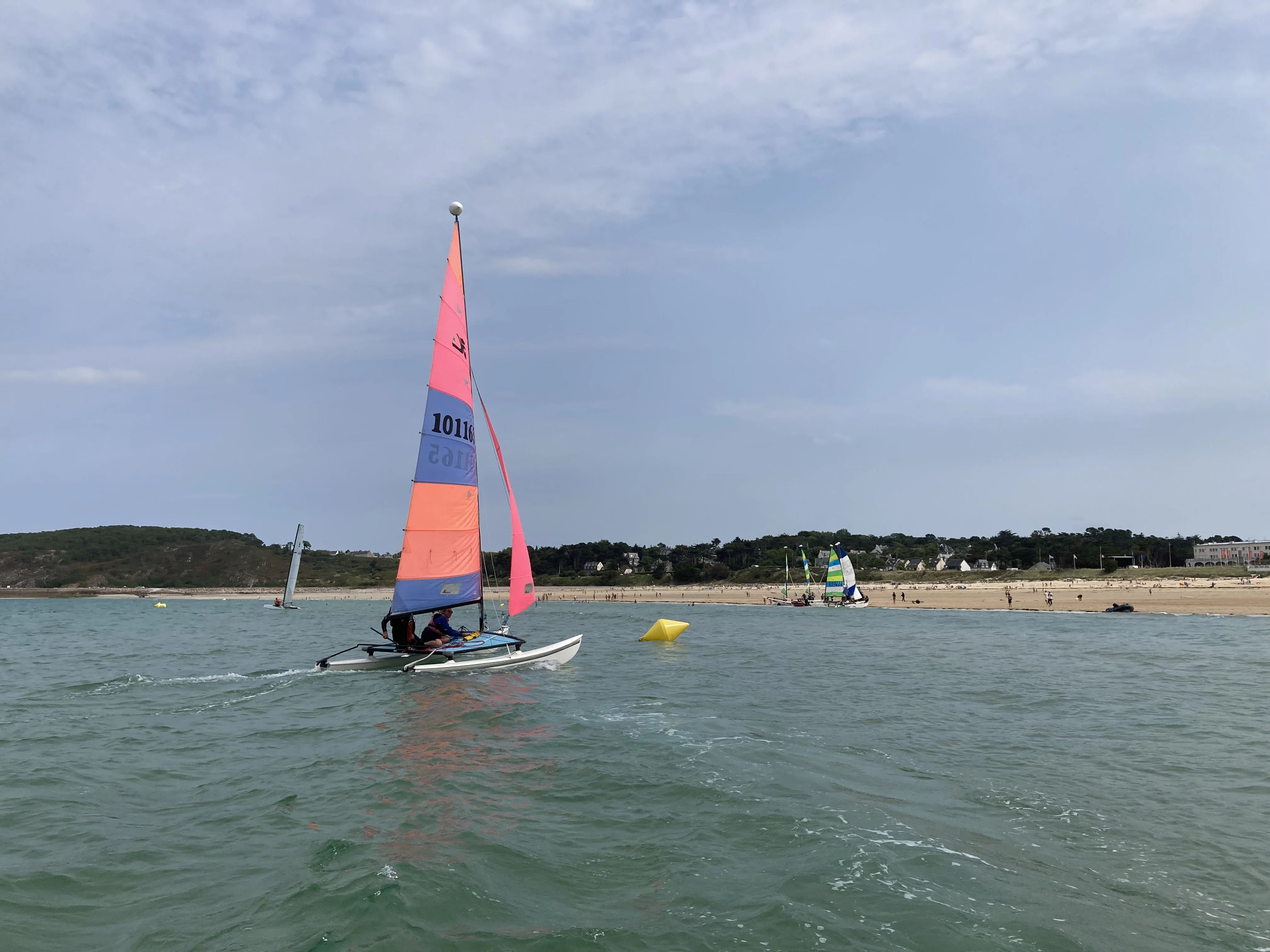 CVSOP 29