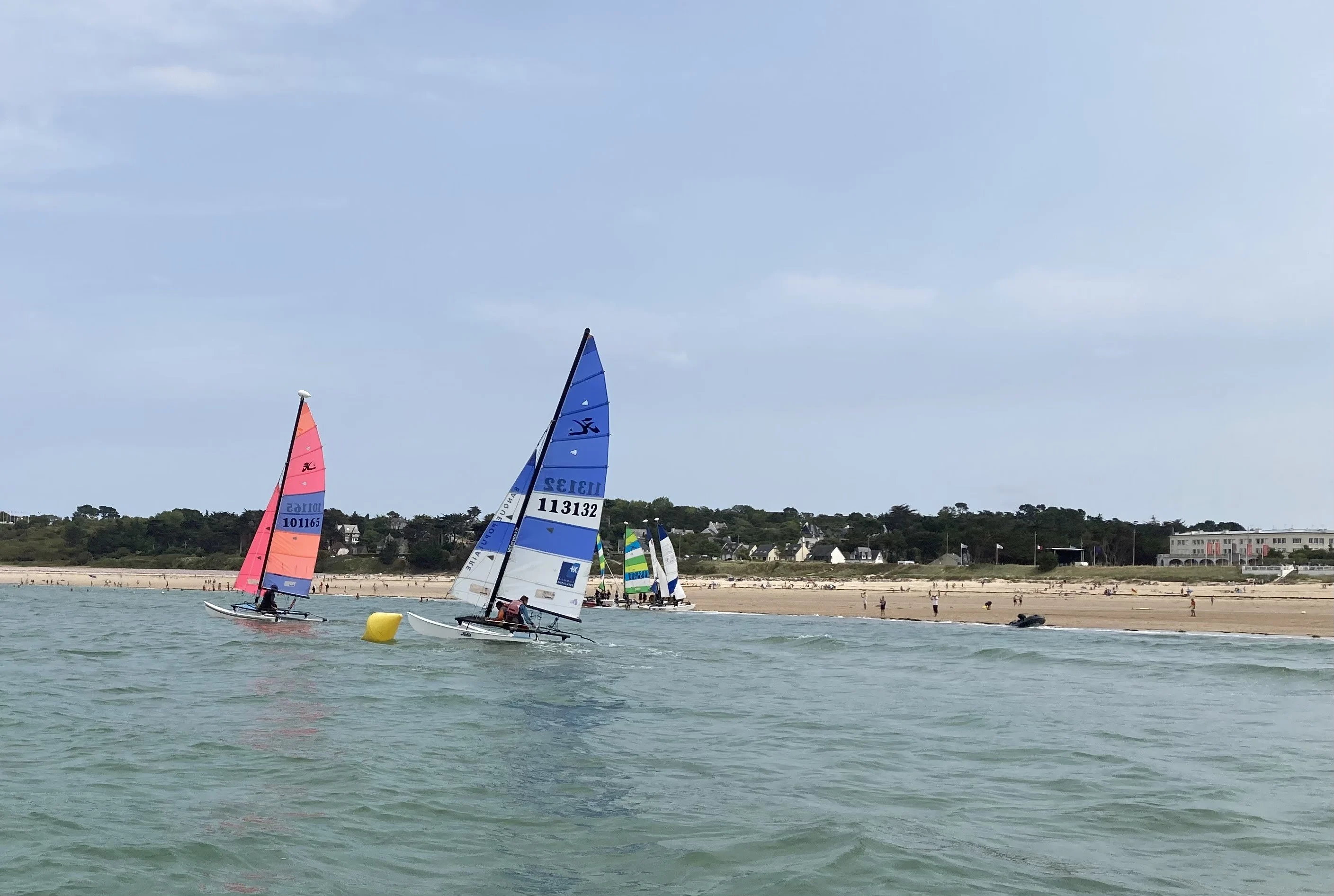 CVSOP 30